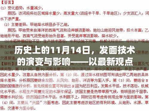 历史上的11月14日，发面技术的演变与影响——以最新观点探讨