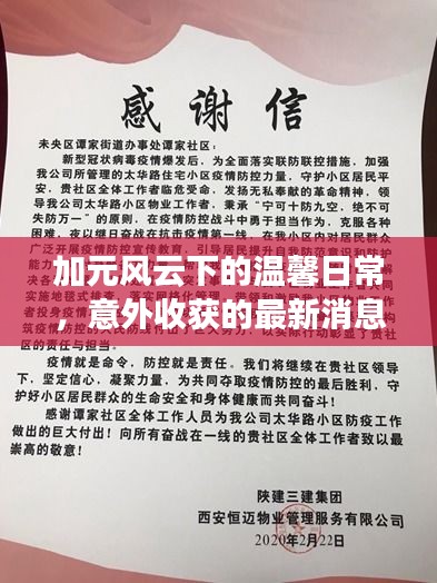 加元风云下的温馨日常，意外收获的最新消息与启示