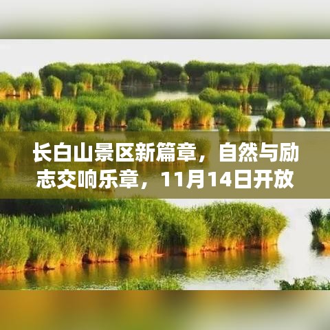 长白山景区新篇章，自然与励志交响乐章，11月14日开放最新动态