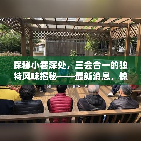 探秘小巷深处，三会合一的独特风味揭秘——最新消息，惊喜连连（11月14日）