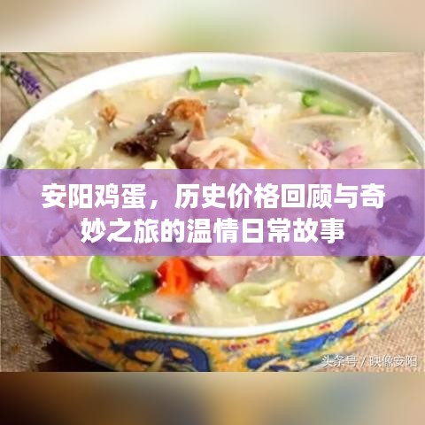 安阳鸡蛋，历史价格回顾与奇妙之旅的温情日常故事