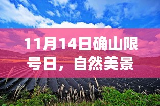 11月14日确山限号日，自然美景探索之旅启程