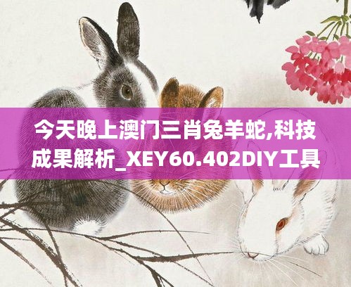 今天晚上澳门三肖兔羊蛇,科技成果解析_XEY60.402DIY工具版