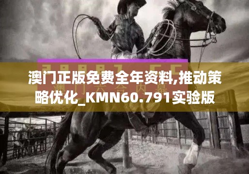 澳门正版免费全年资料,推动策略优化_KMN60.791实验版