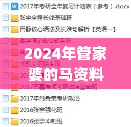 2024年管家婆的马资料,完善实施计划_FKH60.380交互式版