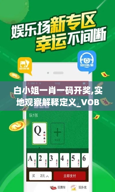 白小姐一肖一码开奖,实地观察解释定义_VOB60.133旅行助手版