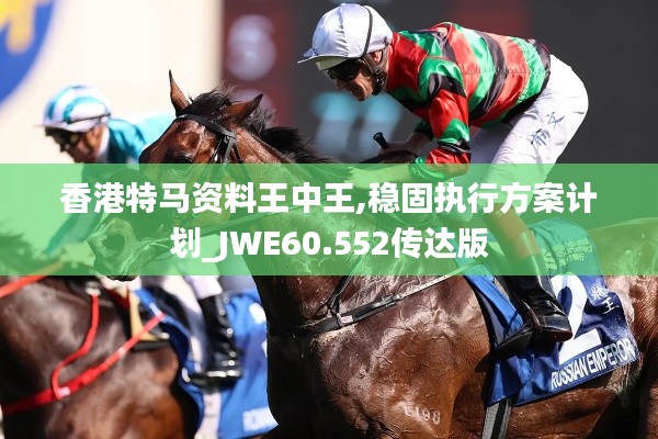 香港特马资料王中王,稳固执行方案计划_JWE60.552传达版