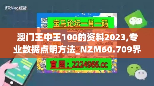 澳门王中王100的资料2023,专业数据点明方法_NZM60.709界面版