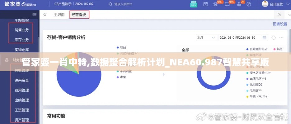 管家婆一肖中特,数据整合解析计划_NEA60.987智慧共享版