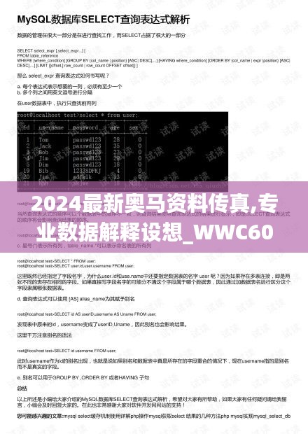 2024最新奥马资料传真,专业数据解释设想_WWC60.908演讲版