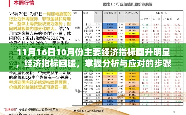 建议，经济指标回暖趋势分析与应对指南，初学者与进阶用户必备