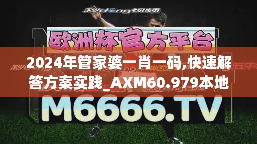 2024年管家婆一肖一码,快速解答方案实践_AXM60.979本地版