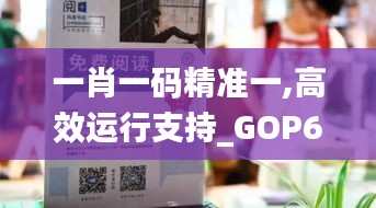 一肖一码精准一,高效运行支持_GOP60.380零售版