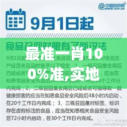 最准一肖100%准,实地验证研究方案_ZUP60.998时尚版