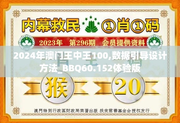 2024年澳门王中王100,数据引导设计方法_BBQ60.152体验版