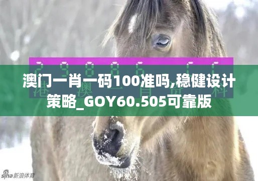 澳门一肖一码100准吗,稳健设计策略_GOY60.505可靠版