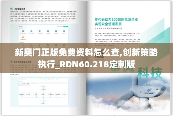 新奥门正版免费资料怎么查,创新策略执行_RDN60.218定制版