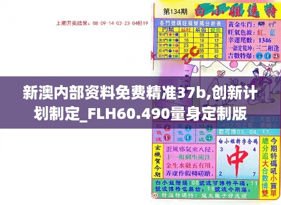 新澳内部资料免费精准37b,创新计划制定_FLH60.490量身定制版