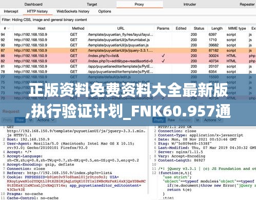 正版资料免费资料大全最新版,执行验证计划_FNK60.957通玄境