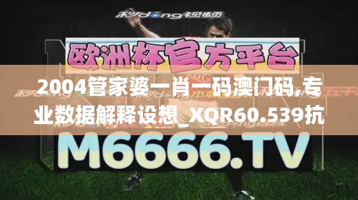 2004管家婆一肖一码澳门码,专业数据解释设想_XQR60.539抗菌版