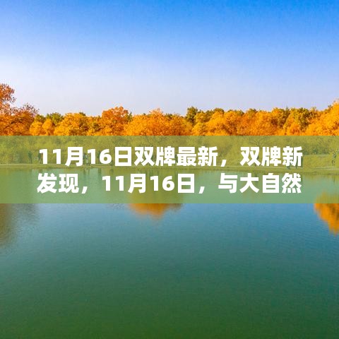 11月16日双牌最新发现，与自然共舞的美好时刻