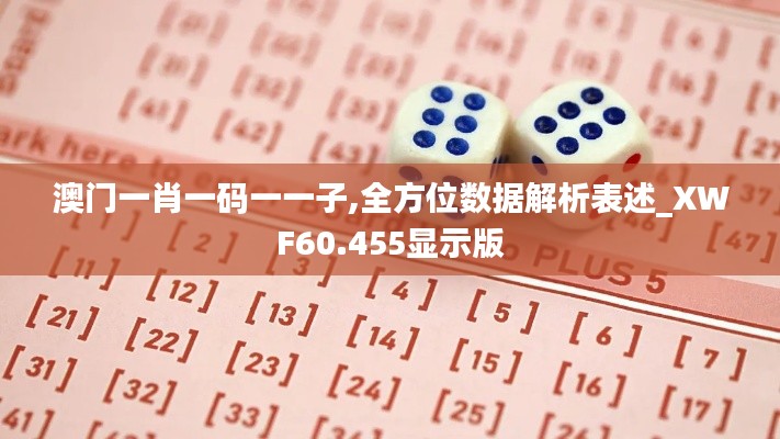 澳门一肖一码一一子,全方位数据解析表述_XWF60.455显示版