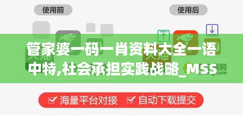 管家婆一码一肖资料大全一语中特,社会承担实践战略_MSS60.674光辉版