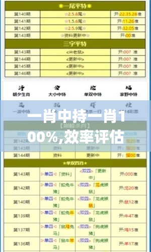 一肖中持一肖100%,效率评估方案_QSG60.578闪电版