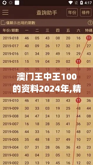 澳门王中王100的资料2024年,精细化实施分析_GOY60.411时尚版