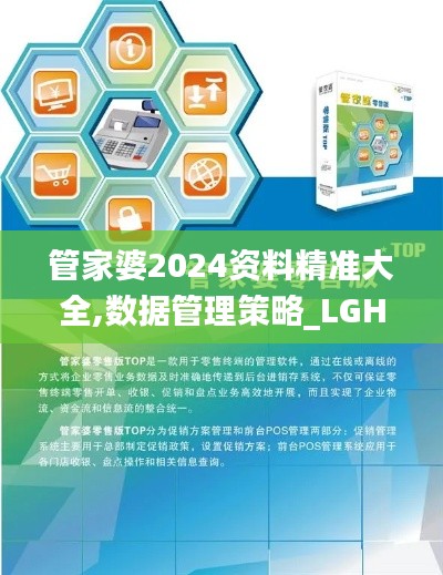 管家婆2024资料精准大全,数据管理策略_LGH60.726百搭版