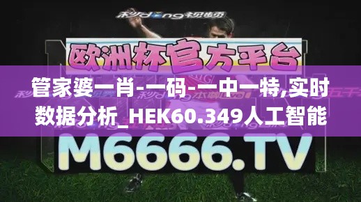 管家婆一肖-一码-一中一特,实时数据分析_HEK60.349人工智能版