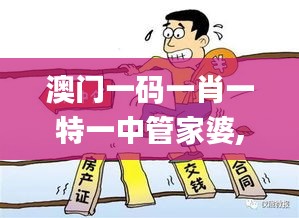 澳门一码一肖一特一中管家婆,解析解释说法_QOQ60.394可变版