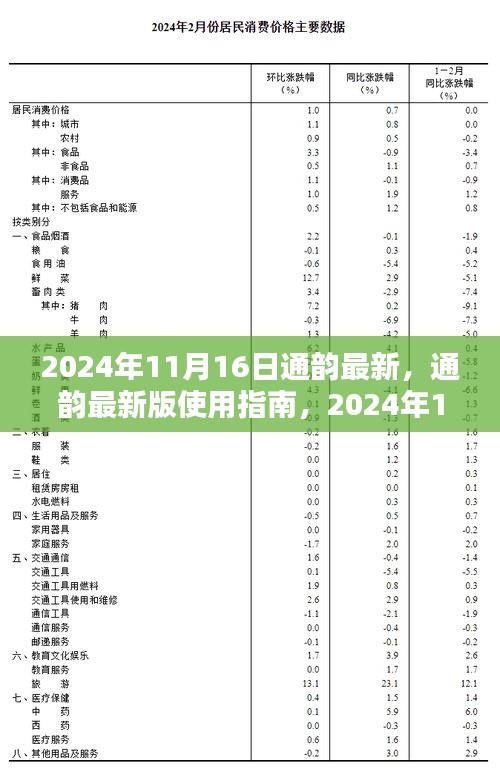 通韵最新版使用指南及更新步骤详解（2024年11月16日更新）