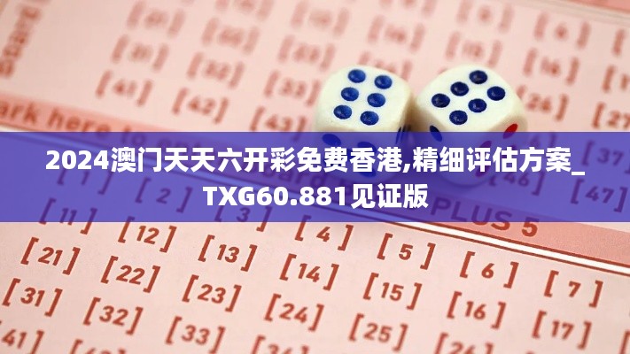 2024澳门天天六开彩免费香港,精细评估方案_TXG60.881见证版