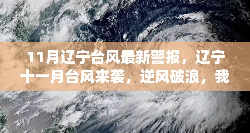 辽宁台风来袭背后的励志故事，逆风破浪，游向知识海洋的远方