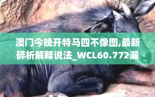 澳门今晚开特马四不像图,最新碎析解释说法_WCL60.772漏出版