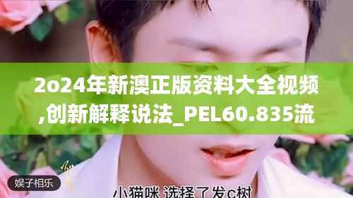 2o24年新澳正版资料大全视频,创新解释说法_PEL60.835流线型版