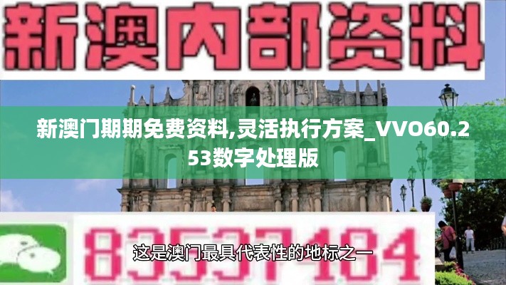 新澳门期期免费资料,灵活执行方案_VVO60.253数字处理版