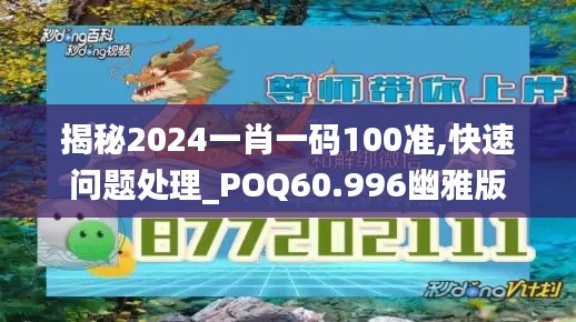 揭秘2024一肖一码100准,快速问题处理_POQ60.996幽雅版