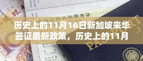 深度解析，历史上的11月16日新加坡来华签证政策调整及其影响与观点阐述