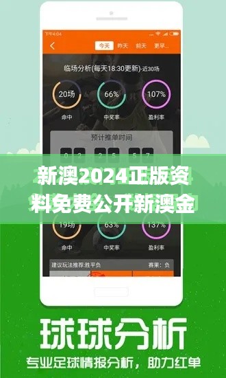 新澳2024正版资料免费公开新澳金牌解密,决策支持方案_WDS60.426快速版