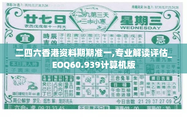 二四六香港资料期期准一,专业解读评估_EOQ60.939计算机版