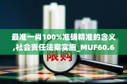 最准一肖100%准确精准的含义,社会责任法案实施_MUF60.611活动版