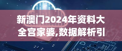 新澳门2024年资料大全宫家婆,数据解析引导_EAG60.371掌中宝