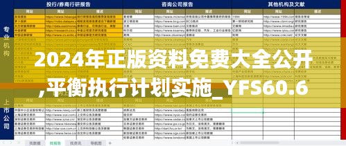 2024年正版资料免费大全公开,平衡执行计划实施_YFS60.660定义版