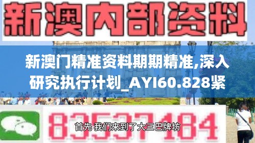 新澳门精准资料期期精准,深入研究执行计划_AYI60.828紧凑版