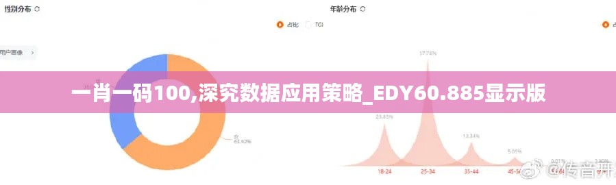 一肖一码100,深究数据应用策略_EDY60.885显示版