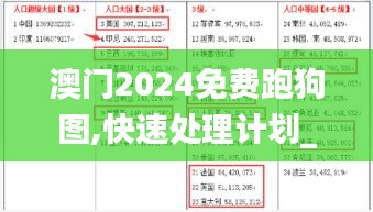 澳门2024免费跑狗图,快速处理计划_SCG60.291后台版