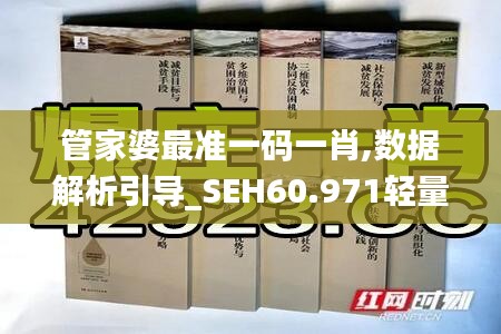 管家婆最准一码一肖,数据解析引导_SEH60.971轻量版