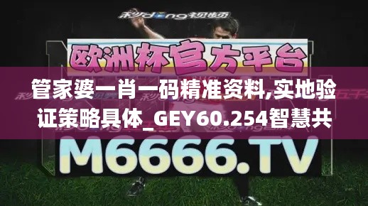 管家婆一肖一码精准资料,实地验证策略具体_GEY60.254智慧共享版